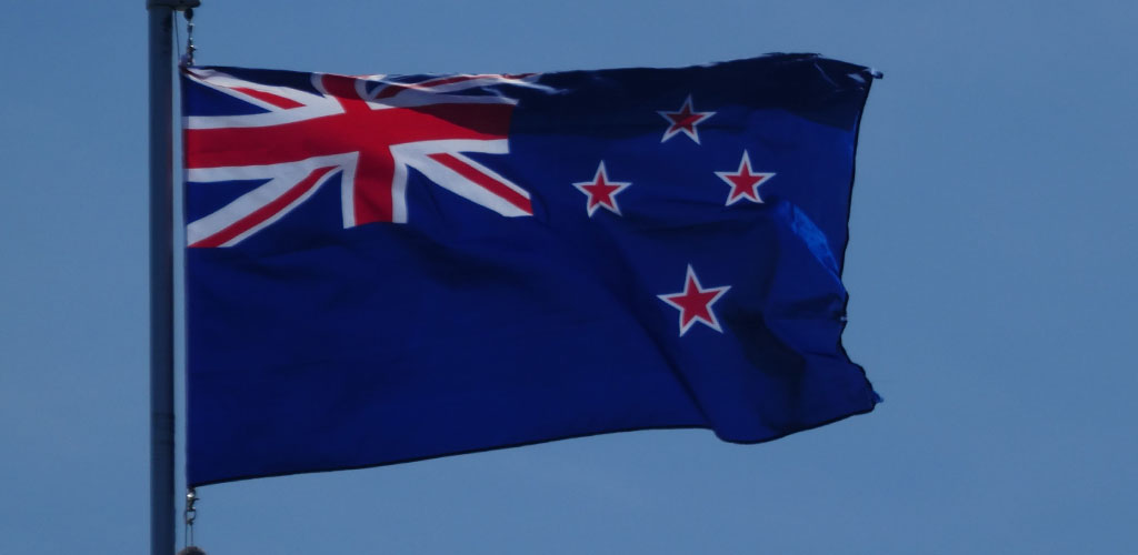 New Zealand cougar flag