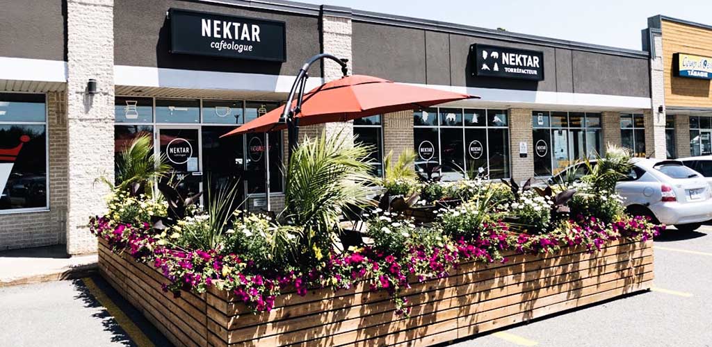 The lush patio of Nektar