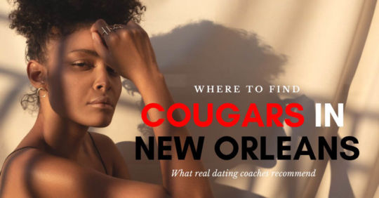 A New Orleans cougar at sunset