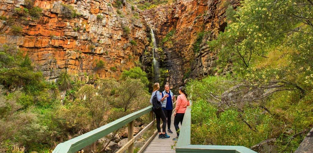 Adelaide MILFs exploring Morialta Conservation Park 