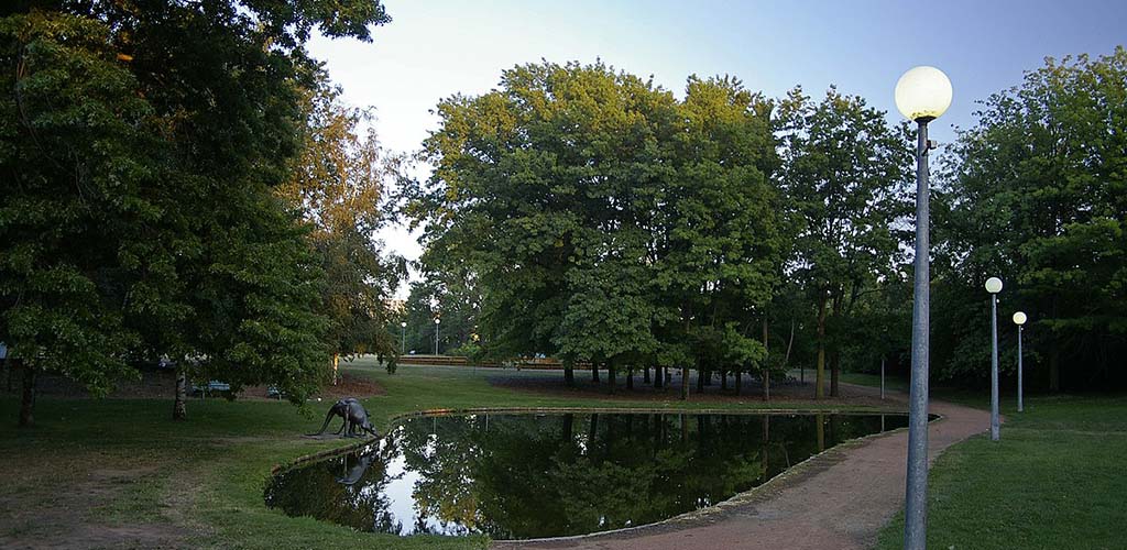 The pond at Commonwealth Park
