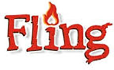 2022 Fling.com Review - Our Full Story Using On Fling