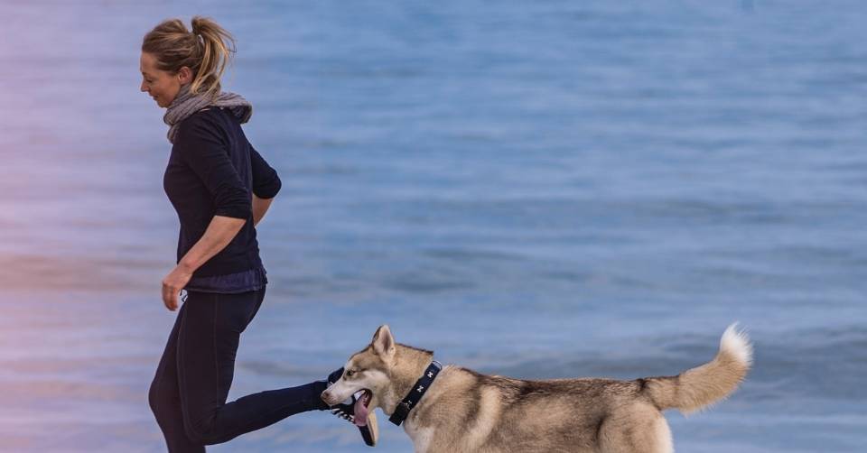 Woman walking her dog on the beach