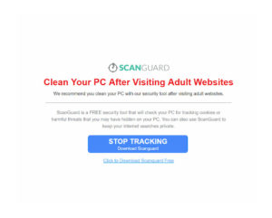 clean your PC after visiting adult websites