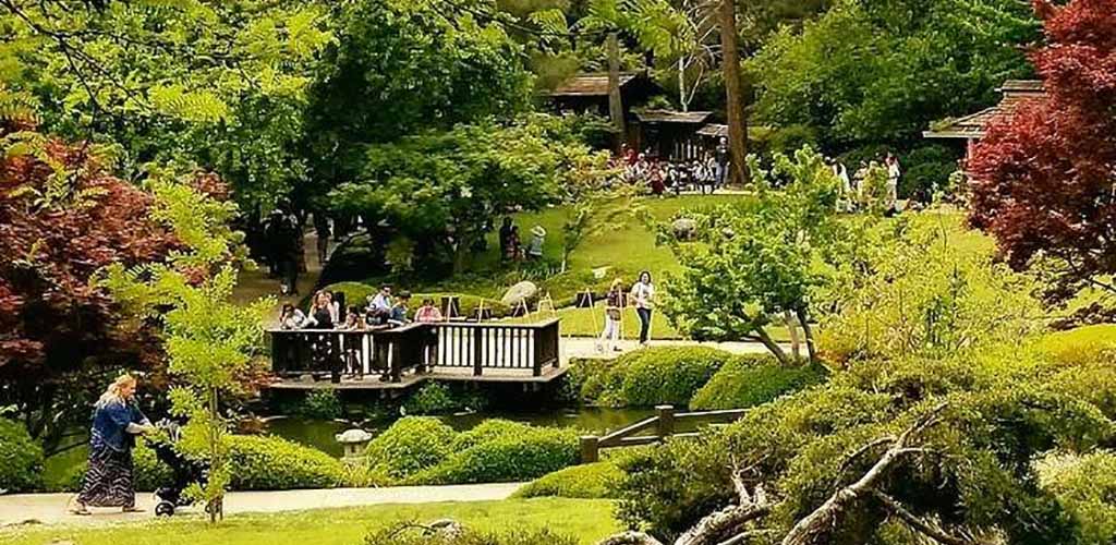 The beautiful summer foliage at the Shinzen Friendship Garden