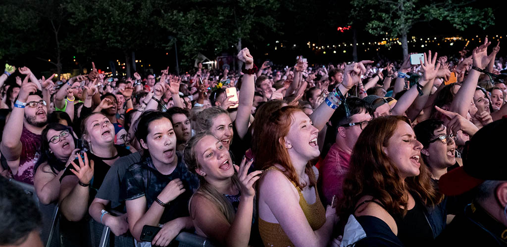 The youthful audience at a music festival