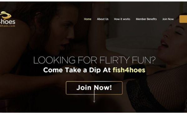 Fish4Hoes landing page before redirecting