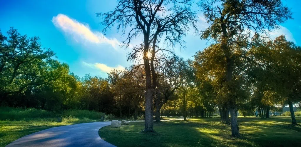 Where to Meet MILFs In Lakewood