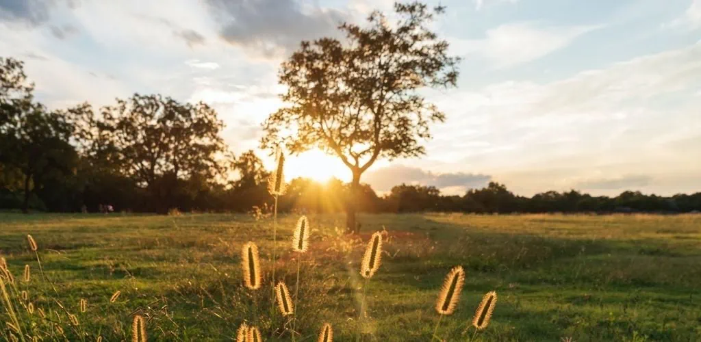 Where to Meet MILFs In Edison