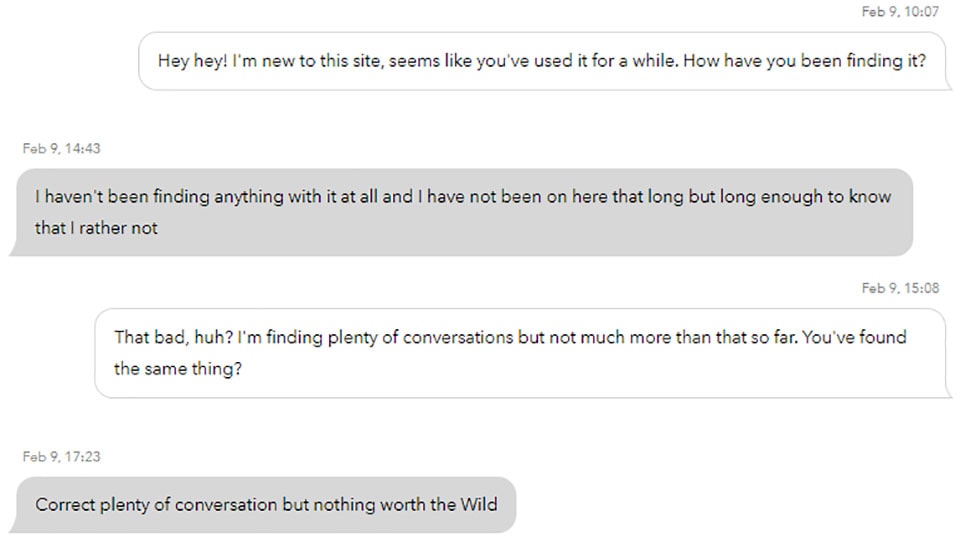 Conversation with a user who didn't find matches