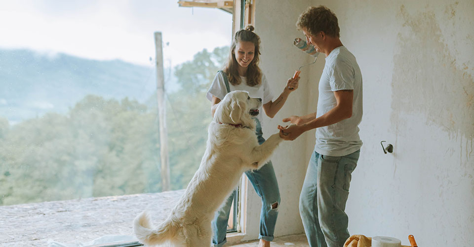 A couple painting a room with their dog