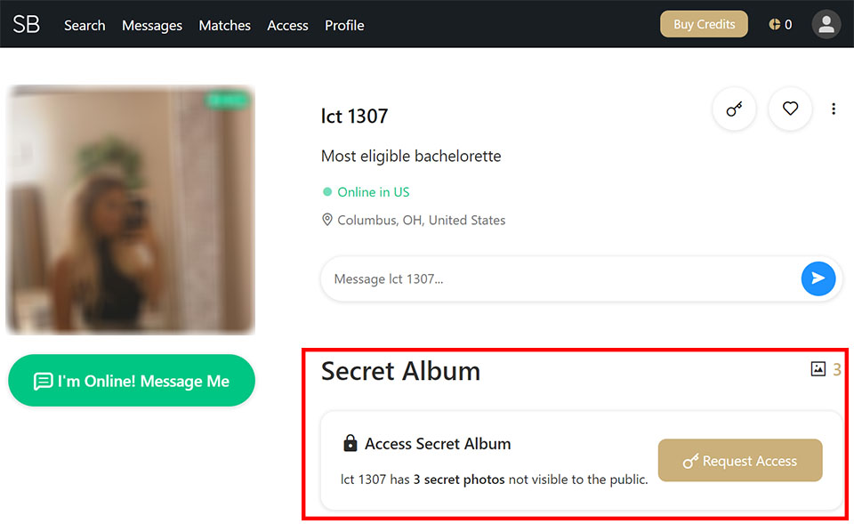 Secret albums require credits