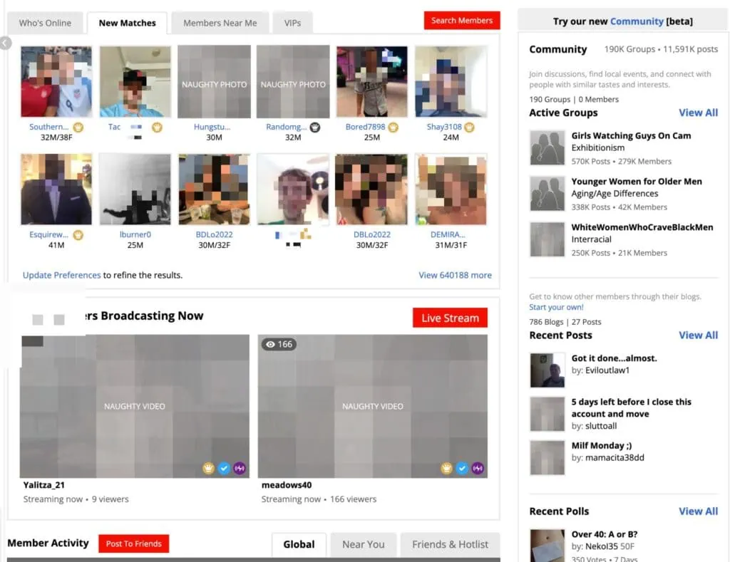 A screenshot-style graphic illustrating the key features of an online hookup site, including icons for messaging, live cams, blogs, and community groups to show user engagement.