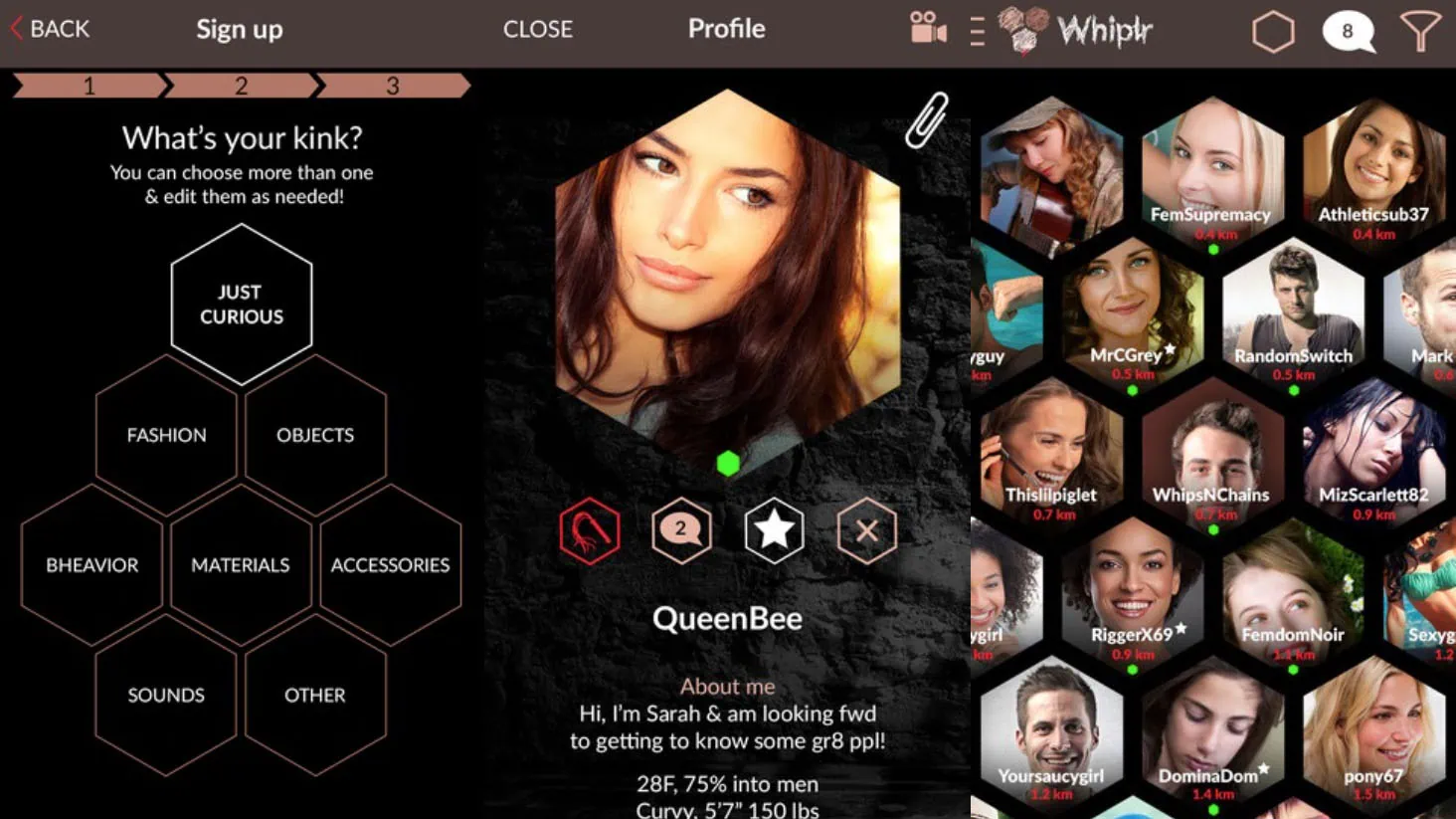 How Whiplr Stacks Up Against Other Kink Apps in 2025